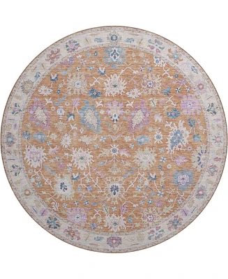 Dalyn Hatay Washable HY7 8'x8' Round Area Rug