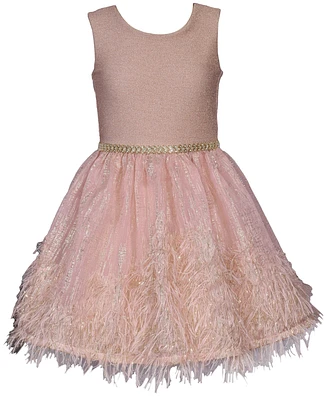 Bonnie Jean Little Girls Sparkle Knit to Feather Border Party Dress