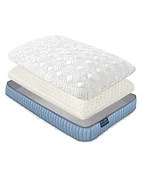 Stearns & Foster Dual Comfort Latex Pillow, Standard