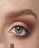 Anastasia Beverly Hills Spice Mini Eyeshadow Palette
