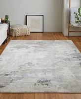 Feizy Prasad 3970F 8'x11' Area Rug