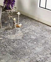 Feizy Sarrant 3966f Rug Collection