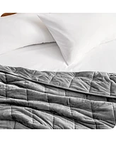 Bare Home Weighted Blanket, 12lbs (48" x 72") - Minky