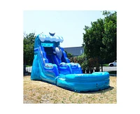 JumpOrange Dolphins Commercial Grade Inflatable Water Slide with Detachable Deep Pool for Kids and Adults (with Blower), Outdoor Indoor, Wet Dry Use,