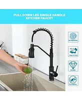 Flynama Pull out Touchless Single Handle Kitchen Faucet with MotionSense In Black