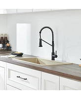 Flynama Single Hole Single-Handle Pull-Down Sprayer Kitchen Faucet In Matte Black