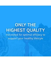 Host Defense Breathe Extract