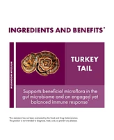 Host Defense Turkey Tail Mushroom Powder - Digestive Health & Immune Response Support Supplement