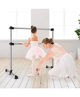 Hongge 4 Feet Double Ballet Barre Bar with Adjustable Height