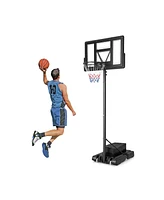 Hongge 4.25-10 Feet Adjustable Basketball Hoop System with 44 Inch Backboard-b