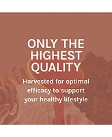 Host Defense MycoBotanicals Liver Capsules - Liver Health Supplement with Milk Thistle & Turmeric Root