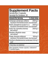 Host Defense MycoBotanicals Energy Capsules - Energy & Respiratory Support Supplement - Herbal Green Tea Capsules