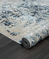 Lr Home Lavish LANHM82273 5' x 7' Area Rug