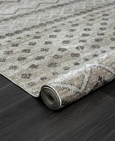 Lr Home Closeout! Lavish LANHM822A 5' x 7' Area Rug