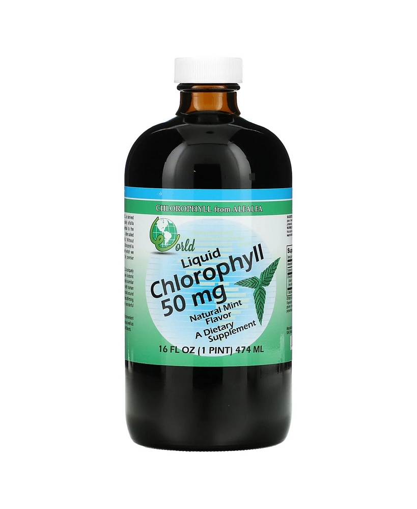 World Organic Liquid Chlorophyll Natural Mint 50 mg