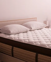 Brooklyn Bedding Helix Twilight Elite 16" Firm Mattress