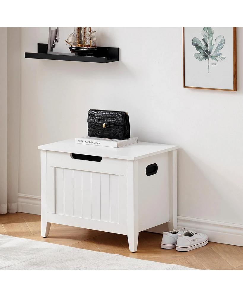 gaomon Storage Chest, Storage Trunk with Safety Hinge, Storage Bench, Wooden Storage Organizer, Shoe Bench