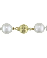 Cultured South Sea Pearl (10-12mm) Strand 18" Collar Necklace