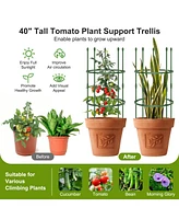 Sugift 3-Pack Garden Trellis 60 Inch Tall Plant Support Stands with Clips and Ties-s