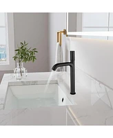 Mondawe Single Handle Single Hole Bathroom Faucet with Water Supply Hoses Matte Black