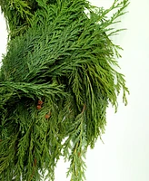 International Christmas Innovation Fresh Premier Cedar Garland, 10'