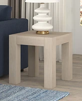 Hudson & Canal 22" Langston Wide Square Side Table