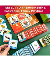 Quokka Life Cycle Kit Toy Montessori - Flash Cards Science Activities
