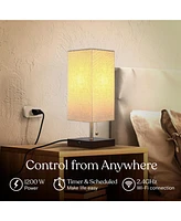 Brightech Smart Wi-Fi Indoor Plug with App Control, Timer, and Dimmer