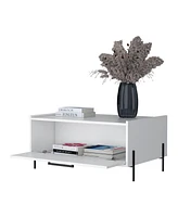 Fm Furniture Glendale Coffee Table with Flip-Down Door in Melamine