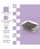 The Licker Store Haines 21.5" x 15.25" Small/Medium Modern Lucite Velvet Pet Bed with Washable Cushion