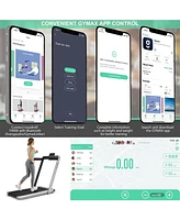 Hongge 2-in-1 Electric Motorized Health and Fitness Folding Treadmill with Dual Display-Silver