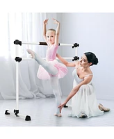Hongge 4 Feet Portable Ballet Barre with Adjustable Height-Gray