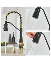 Flynama Pull out Touchless Single Handle Kitchen Faucet with MotionSense