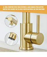 Flynama Spring Double Handles Deck Mount Pull Out Sprayer Kitchen Faucet with Clean Water Outlet