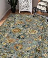 Amer Rugs Jackson JAC10 4'x6' Area Rug