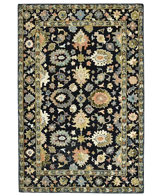 Amer Rugs Jackson JAC2 8'x10' Area Rug