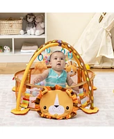 Hongge 4-in-1 Baby Play Gym with Soft Padding Mat and Arch Design