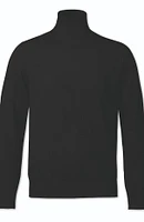 Charles Tyrwhitt Men's Pure Merino Roll Neck Sweater