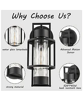 Flynama 1-Light Dusk to Dawn Outdoor Hardwired Wall Lantern Sconce with No Bulbs Included