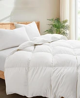 Unikome All Season White Goose Feather and Fiber Comforter