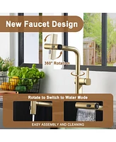 Mondawe 360° Swivel Single Handle Pull Out Sprayer Kitchen Faucet
