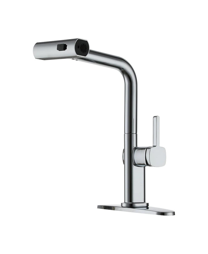 Mondawe 360° Swivel Single Handle Pull Out Sprayer Kitchen Faucet