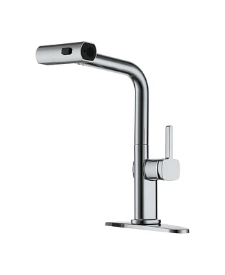 Mondawe 360° Swivel Single Handle Pull Out Sprayer Kitchen Faucet