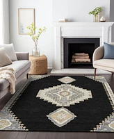 Addison Chantille Machine Washable ACN1014 8'x10' Area Rug