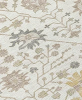 Addison Chantille Machine Washable ACN1009 5'x7'6" Area Rug