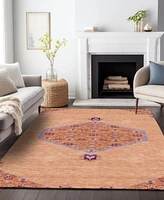 Addison Chantille Machine Washable ACN1011 3'x5' Area Rug