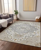Addison Chantille Machine Washable ACN985 8'x10' Area Rug