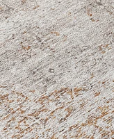 Addison Chantille Machine Washable ACN1144 3'x5' Area Rug