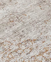 Addison Chantille Machine Washable ACN1146 3'x5' Area Rug