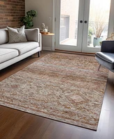 Addison Chantille Machine Washable ACN1219 10'x14' Area Rug
